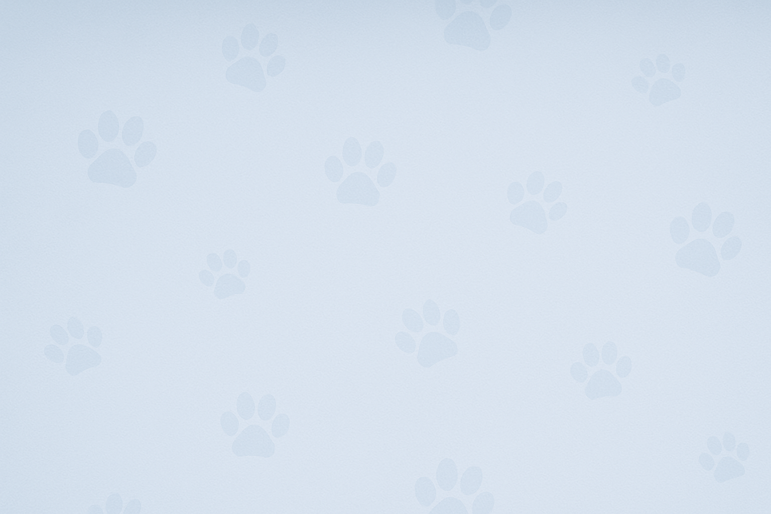  #568AAF at 35% opacity over white, maybe with faint paw prints
